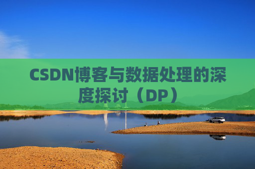 CSDN博客与数据处理的深度探讨（DP）